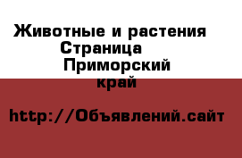  Животные и растения - Страница 11 . Приморский край